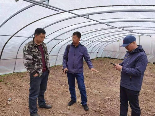 百期網課開新局，科技助農譜新篇——市農業科學院“學史力行慶華誕”網絡課堂圓滿結課